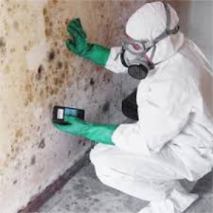 Lead-Asbestos Testing